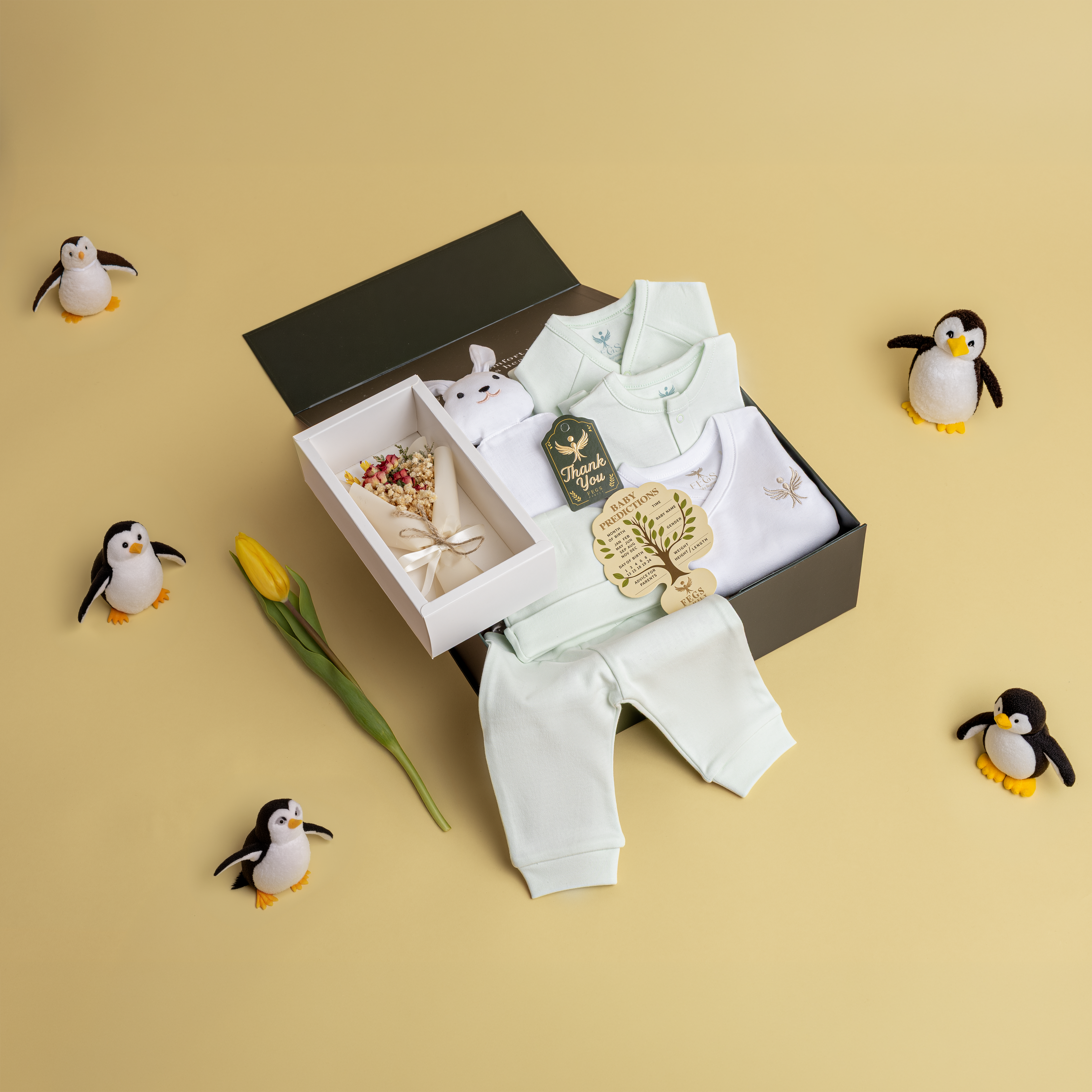 Premium Organic Unisex Baby Welcome Gift Set 6-9 Months